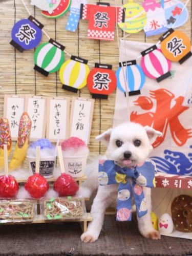 20240710うららちゃん